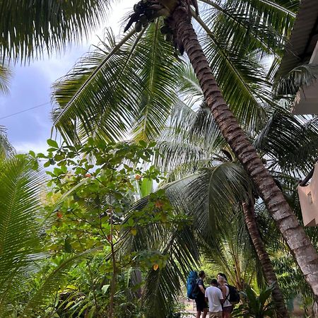 Villasiri&Leon Beach Paradise Tangalle Exterior foto