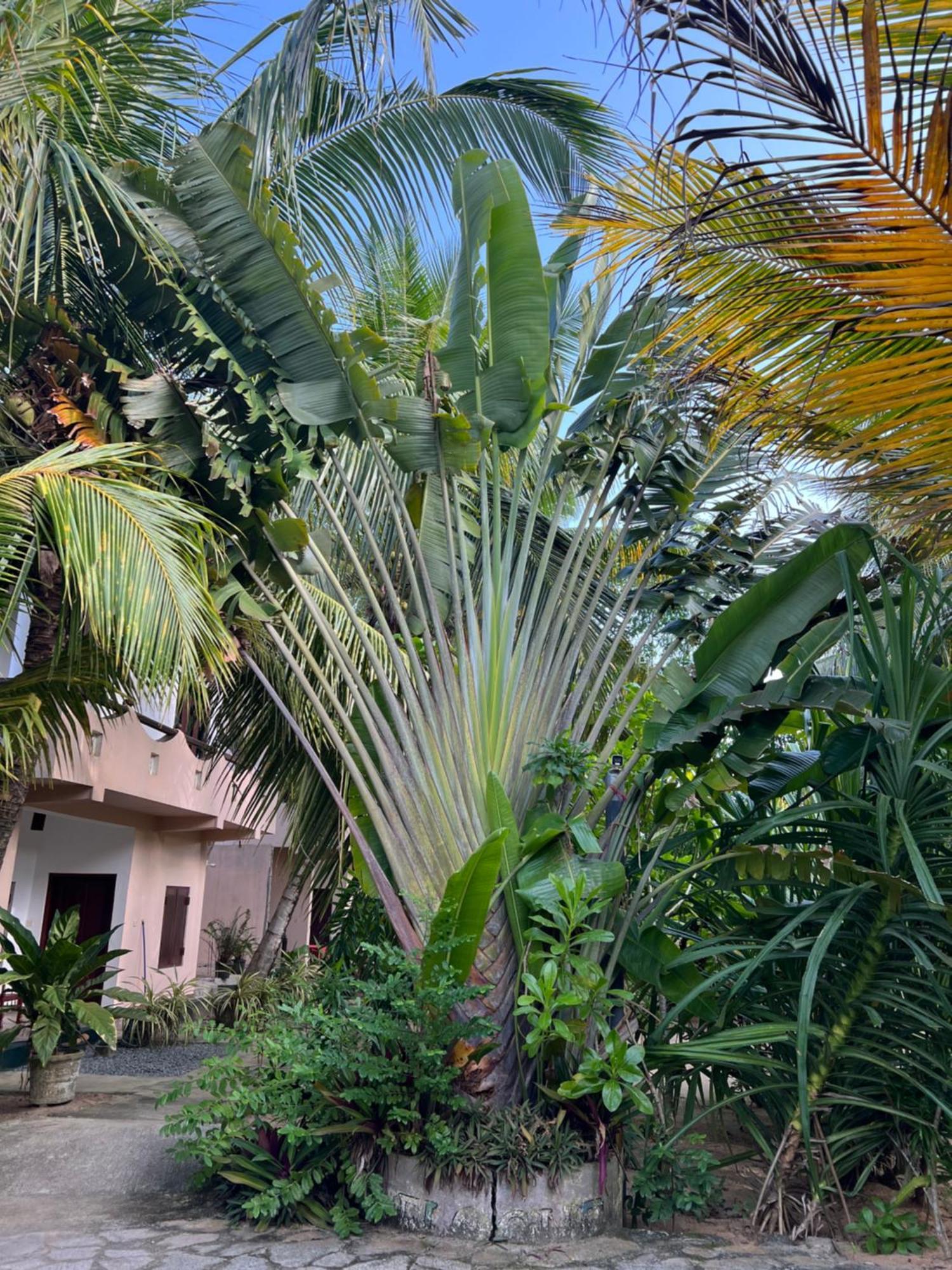 Villasiri&Leon Beach Paradise Tangalle Exterior foto